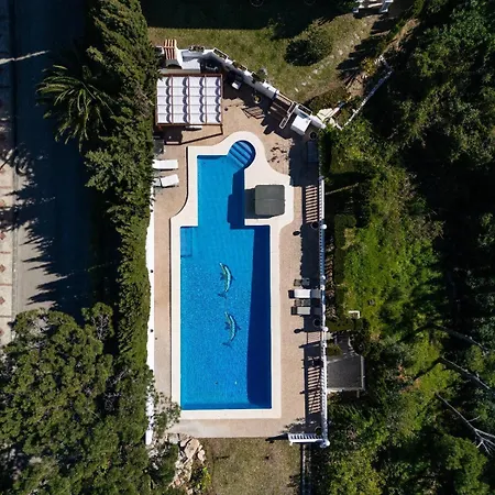 Vivi Homes - Casa Bella